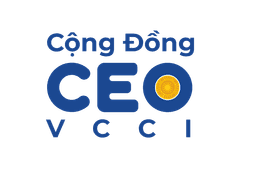 CEO VCCI